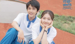 娱乐吃瓜君张新成,娱乐吃瓜界的“瓜王”崛起之路