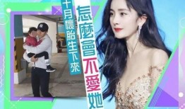 娱乐吃瓜君二豆妈,揭秘娱乐圈背后的故事与趣闻