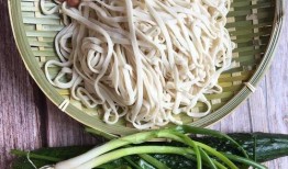 娱乐吃瓜酱吃面条小说在线阅读,面条小说在线阅读指南