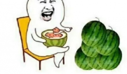 这几年吃的娱乐瓜是什么,盘点近年热门娱乐瓜