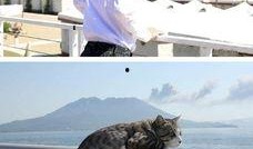 娱乐吃瓜小猫咪微博