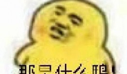 表情包里面吃瓜是什么意思,揭秘网络表情包中的“吃瓜”文化内涵