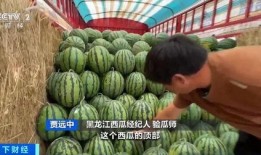 718娱乐吃瓜入口,一场吃瓜盛宴背后的真相与内幕