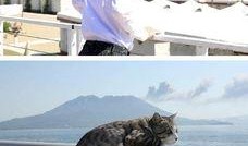 娱乐吃瓜小猫咪微博