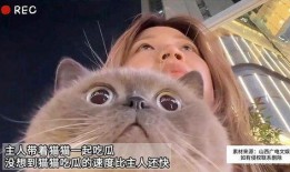 娱乐吃瓜猫原声,揭秘娱乐圈幕后故事