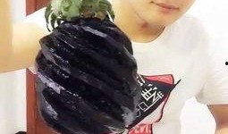 娱乐吃瓜酱胡说八道