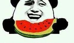 吃瓜娱乐猪,揭秘娱乐圈背后的趣味故事