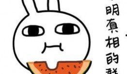 别人回复吃瓜什么意思,揭秘“吃瓜”一词背后的网络文化现象